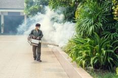 Dengue : une grippe tropicale qui peut faire saigner